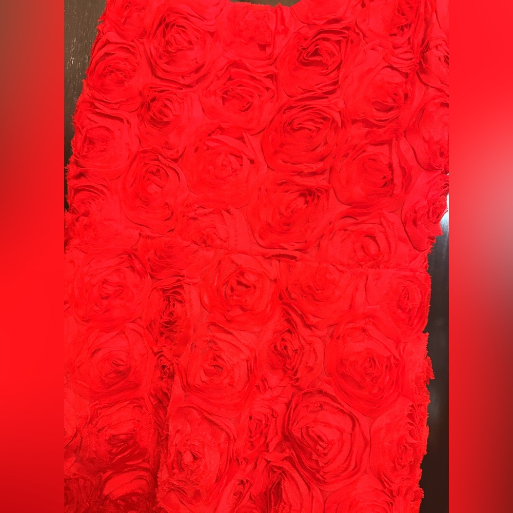 Express Red Rose Dress NWT - Picture 2 of 4